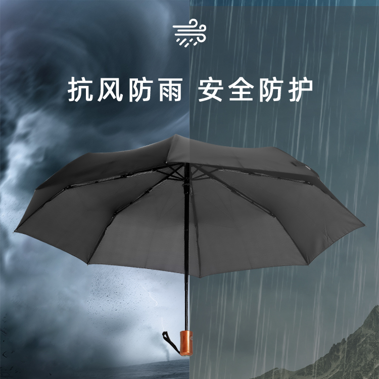 产品详情页-TU3074-防风防雨-自动伞-中文_03